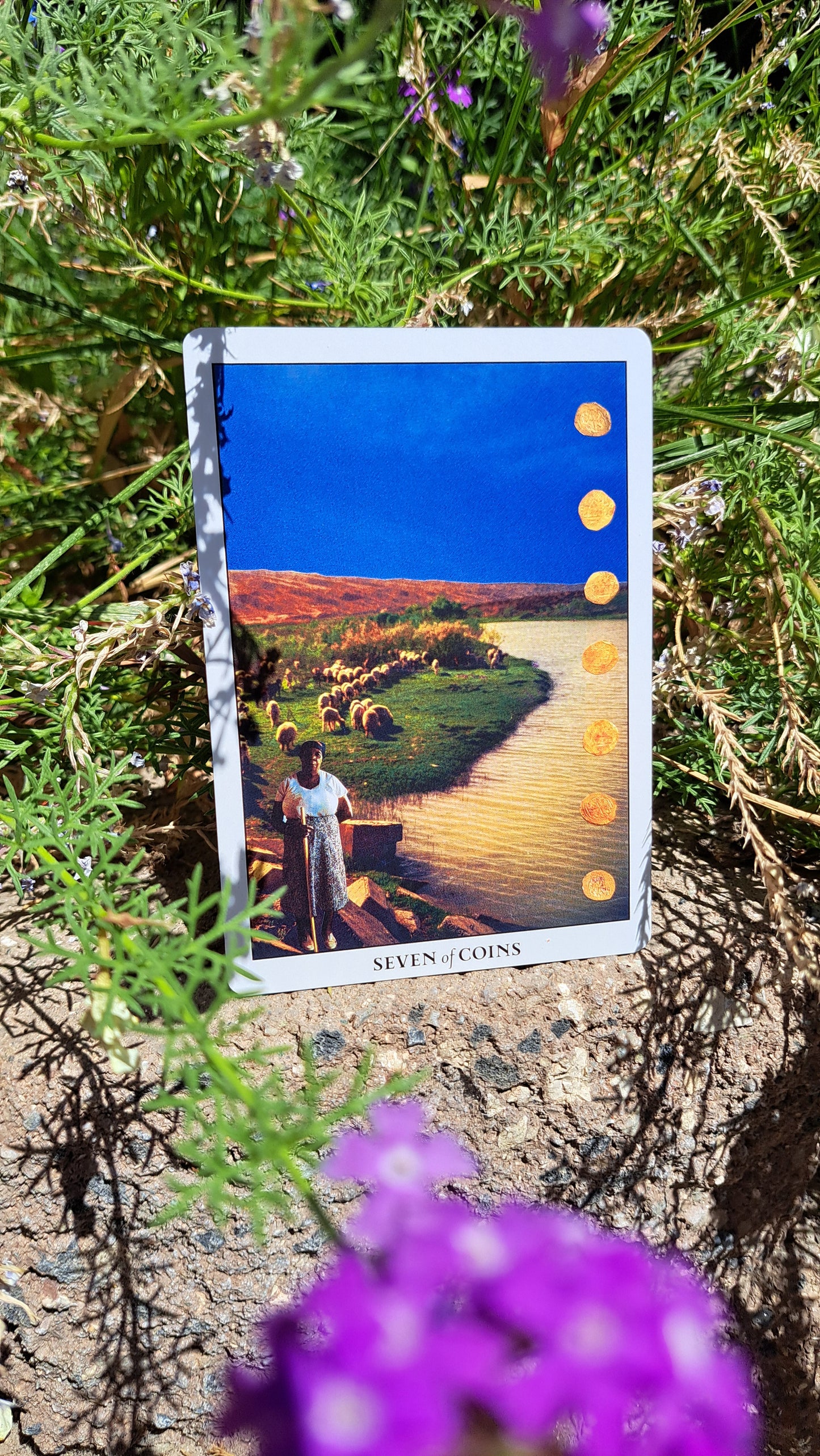 The Scarab and Dahlia Tarot