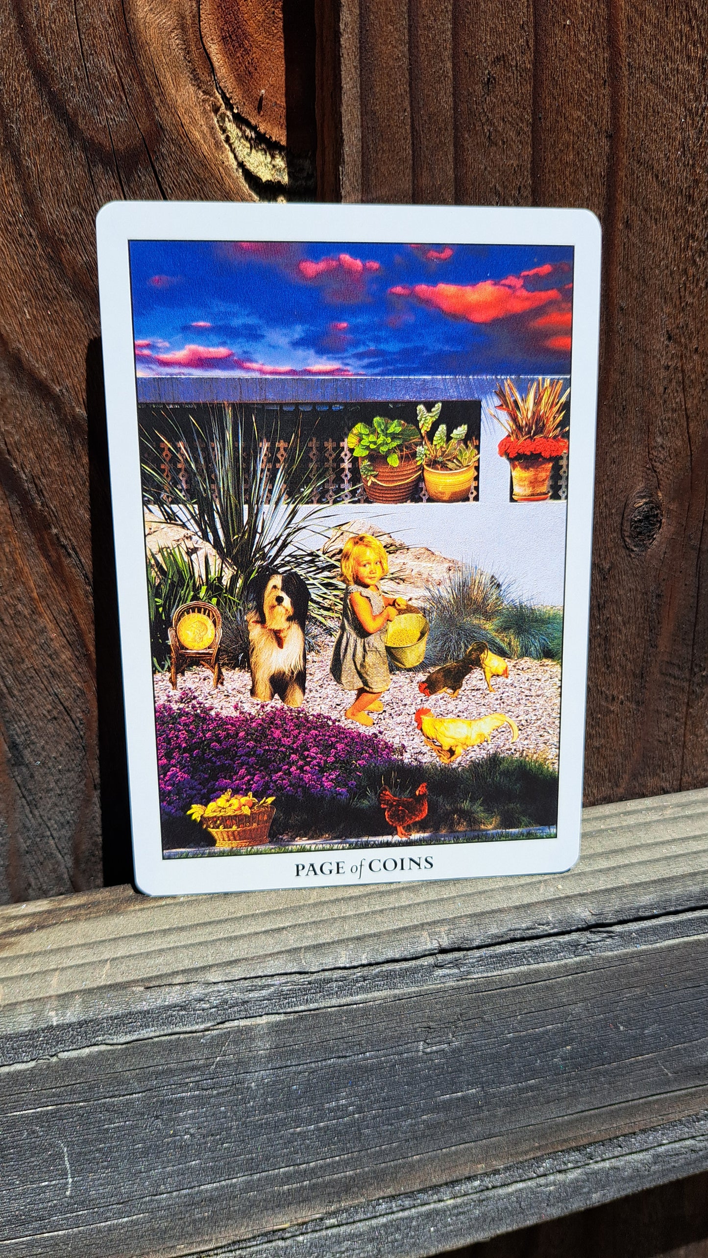 The Scarab and Dahlia Tarot