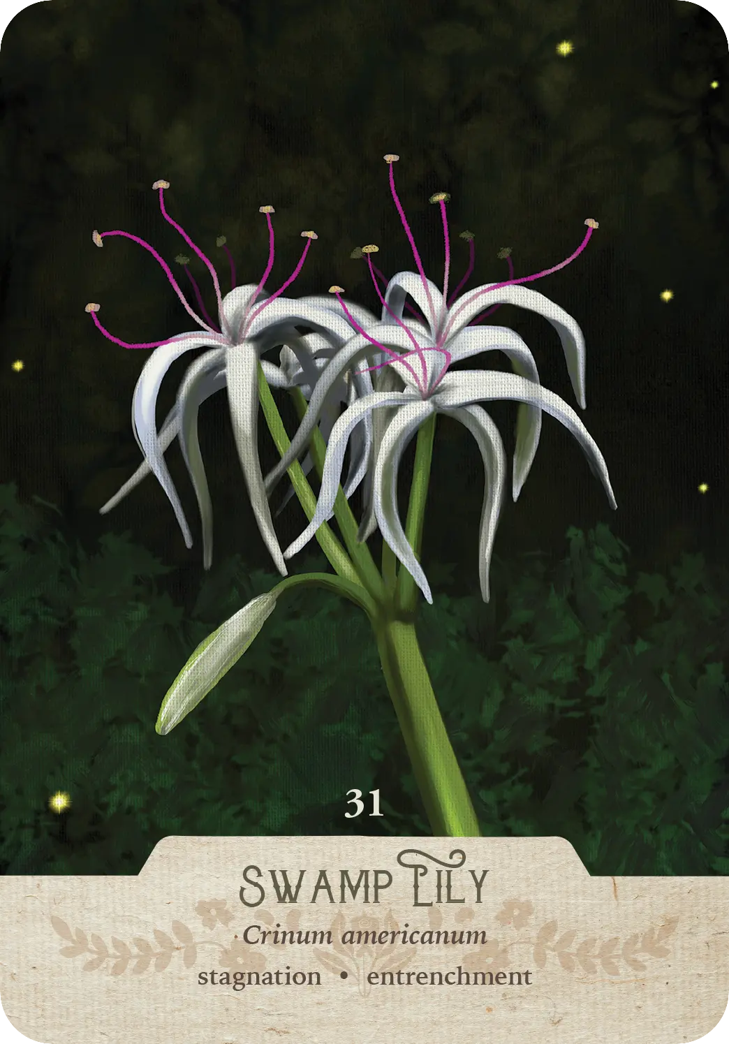 The Southern Botanic Oracle – Expanded 2025 Edition