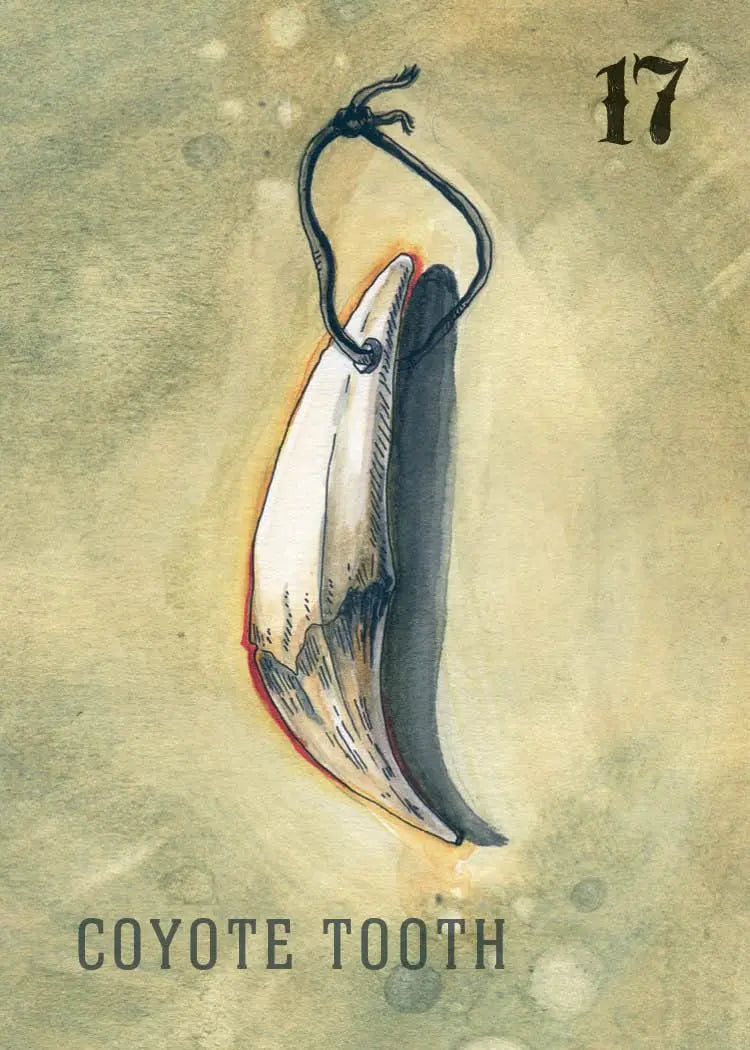 Between the Worlds: Shadowcasting with Bone and Curio Oracle Cards - Oneness emporium