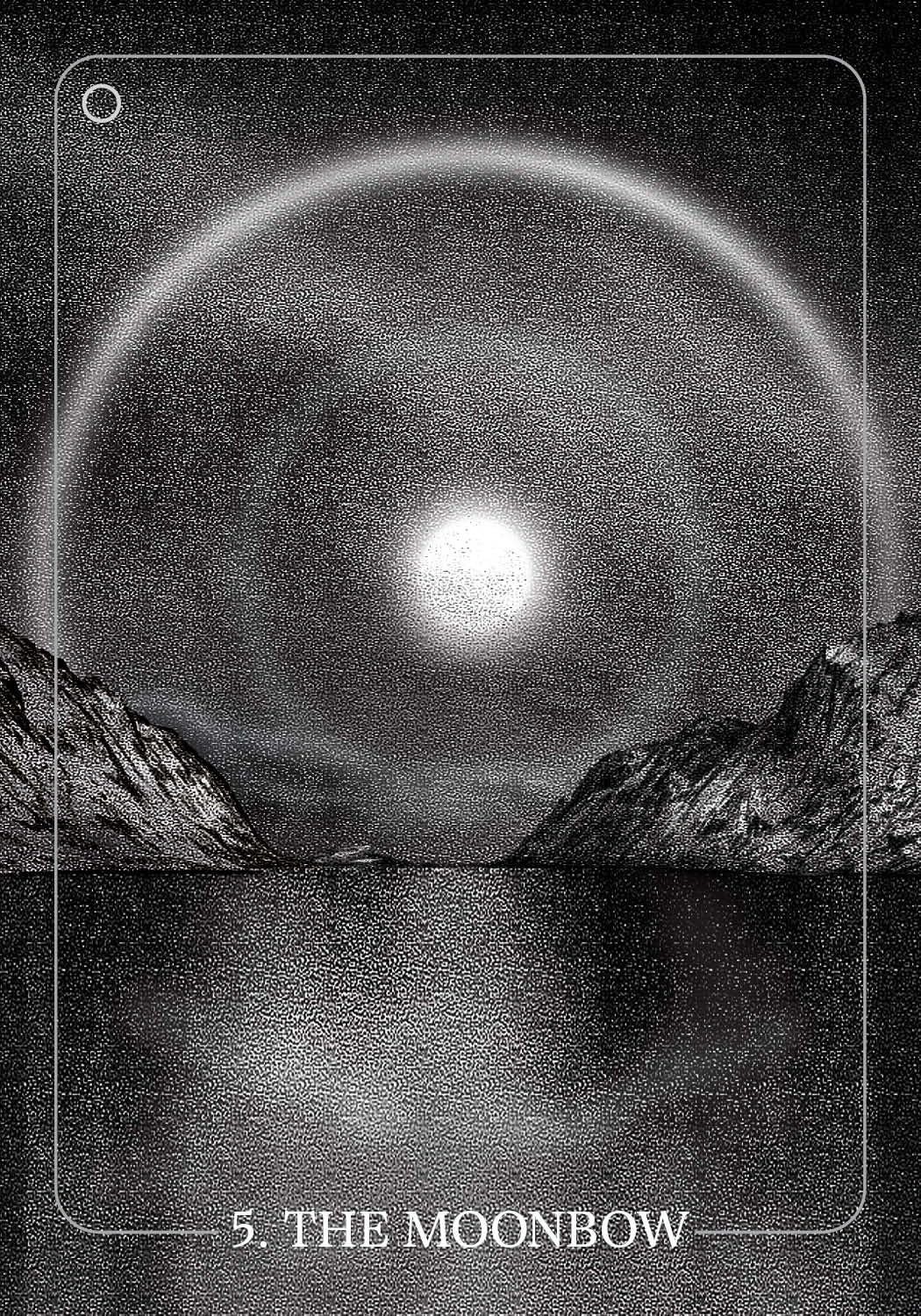 The Bloodlands Oracle