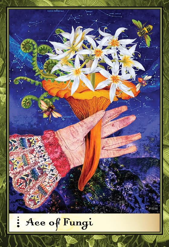 Boadicea's Tarot of Earthly Delights