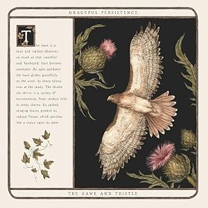 A square art print or book cover featuring a vintage-style illustration of a bird with spread wings beside botanical flowers, with text blocks on the left and the title 'The Hare and Thistle' at the bottom.