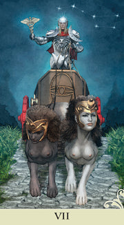 VICE-VERSA TAROT