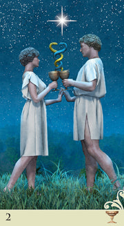 VICE-VERSA TAROT