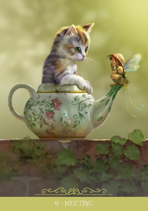 Fantasy Cats Oracle: Magic is in Your Paw - 24 full colour cards & instructions