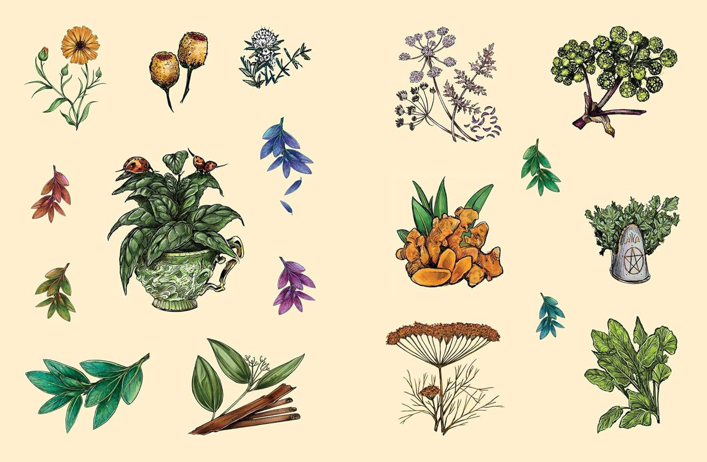 The Green Witch's Sticker Book: 600+ Enchanting Stickers Inspired by Green Magic (Green Witch Witchcraft Series)