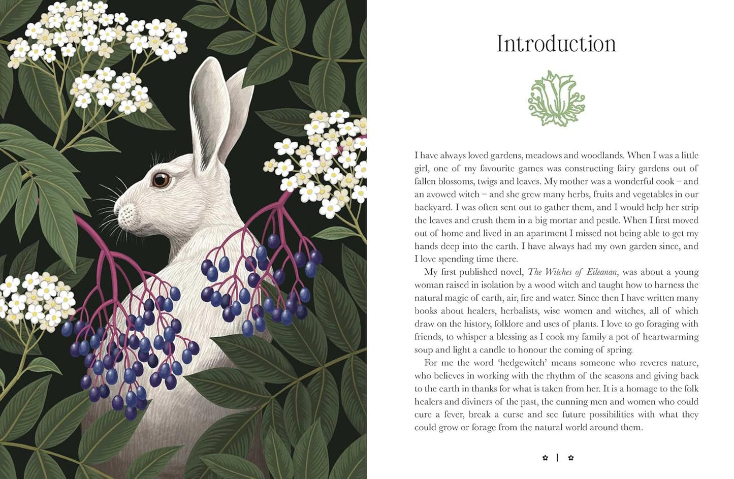 Kate Forsyths Hedgewitch Oracle . A plant based deck. Published by Rockpool. Available at Oneness Emporium