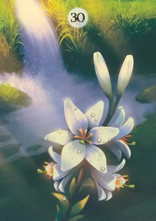 Herbs & Plants Lenormand: 36 full colour cards & instructions Lo Scarabeo