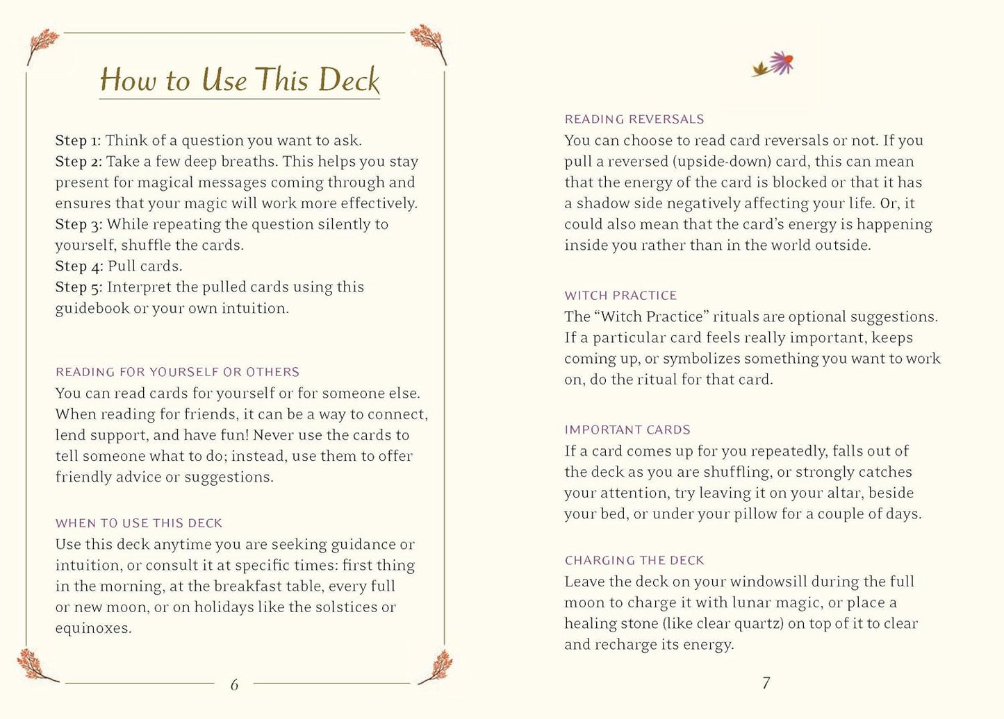 Little Witch's Oracle Deck: Symbols, Spells, and Rituals for the Young Witch