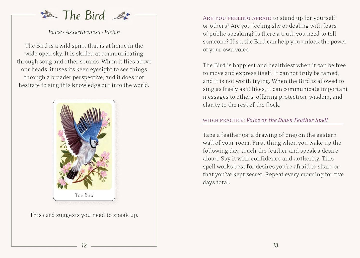 Little Witch's Oracle Deck: Symbols, Spells, and Rituals for the Young Witch