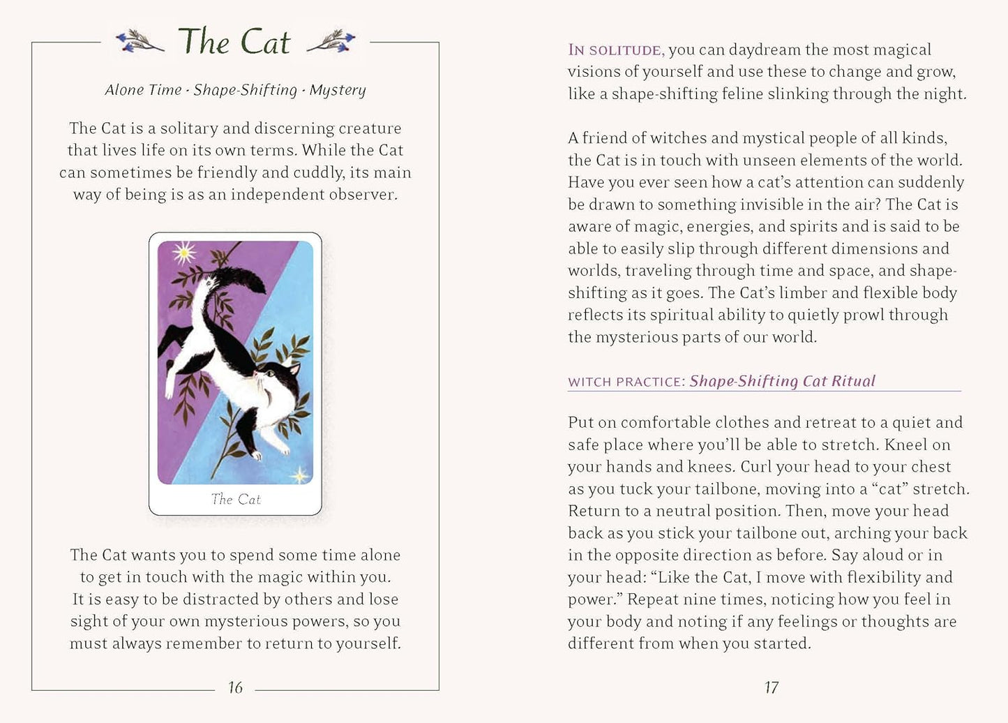 Little Witch's Oracle Deck: Symbols, Spells, and Rituals for the Young Witch