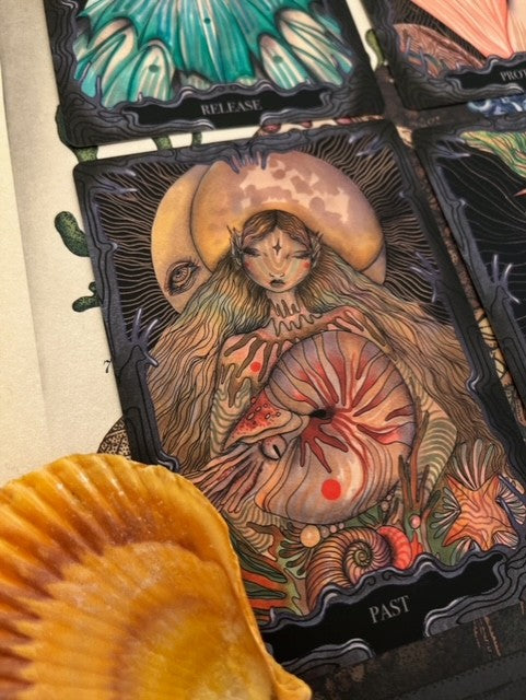The mermaid’s purse oracle deck