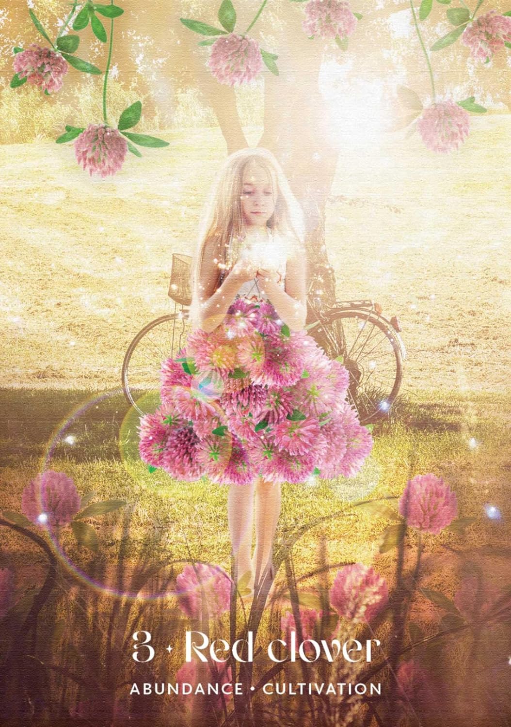 Midnight Sun Oracle : Magical Messages from the Nordic Midsummer