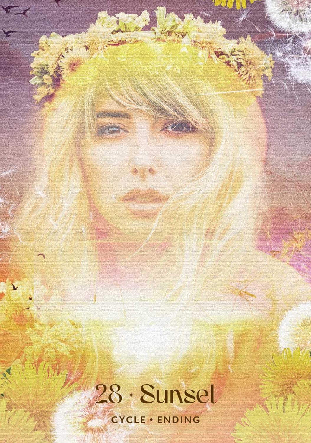 Midnight Sun Oracle : Magical Messages from the Nordic Midsummer