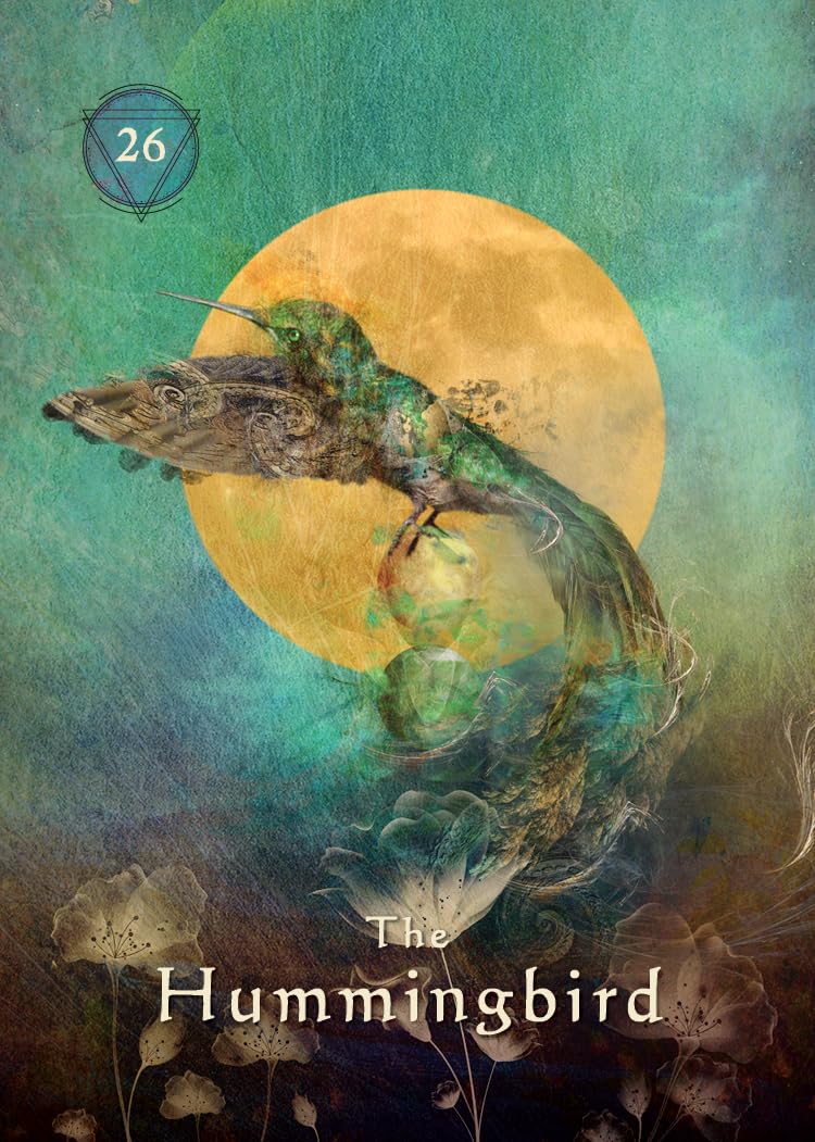Mystical Shaman Pocket Oracle Cards: A 64-Card Deck and Guidebook