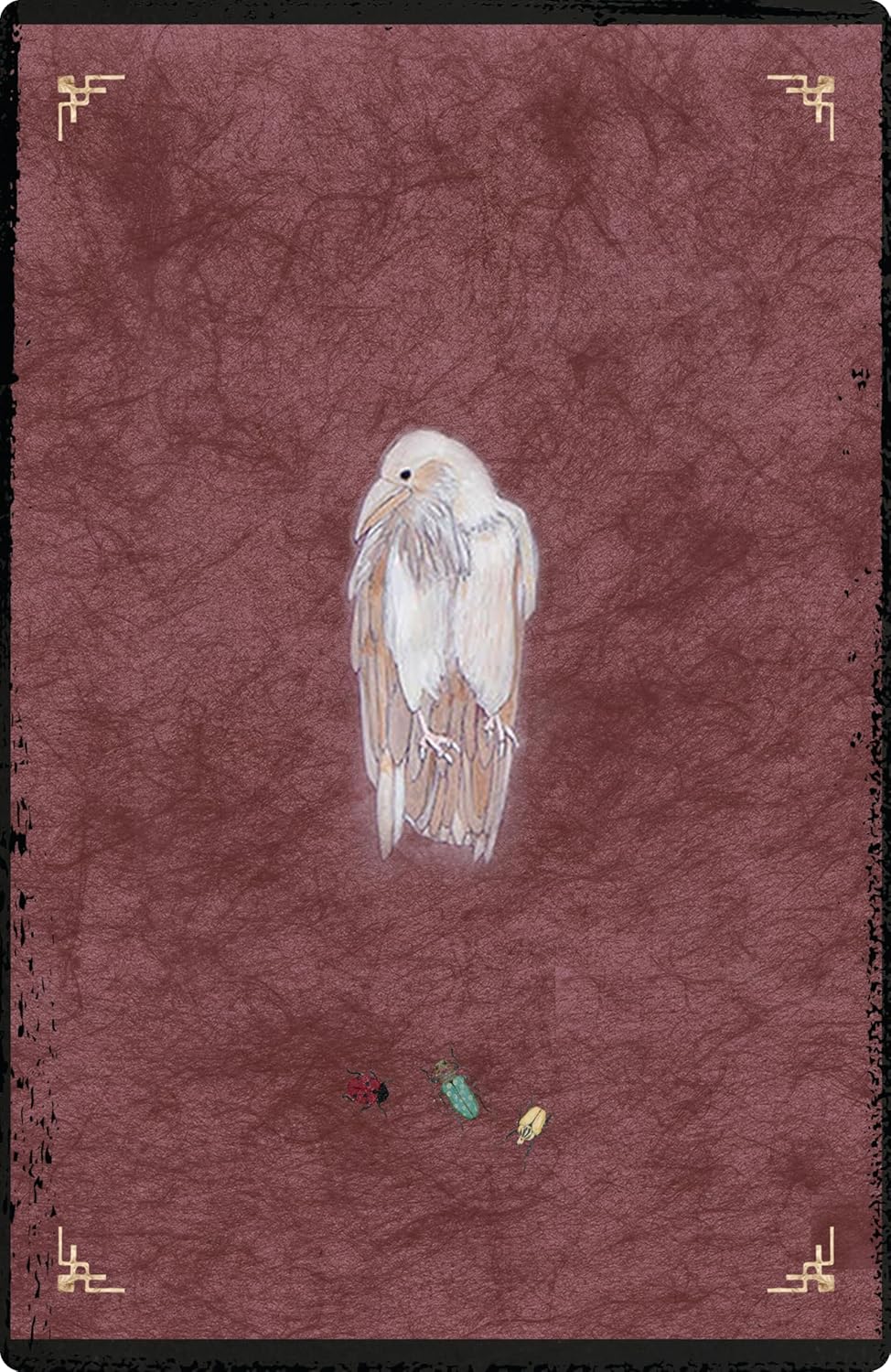 The Oracle of Rewilding: Pathways to Renewing Our Kinship with All Things (44 Full-Color Cards and 176-Page Guidebook)