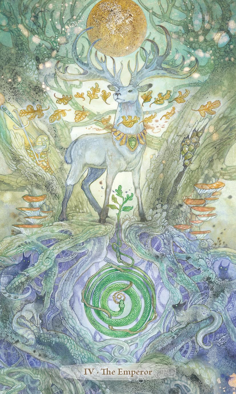 Verdance Tarot: 78 Cards and 336-Page Color Guidebook