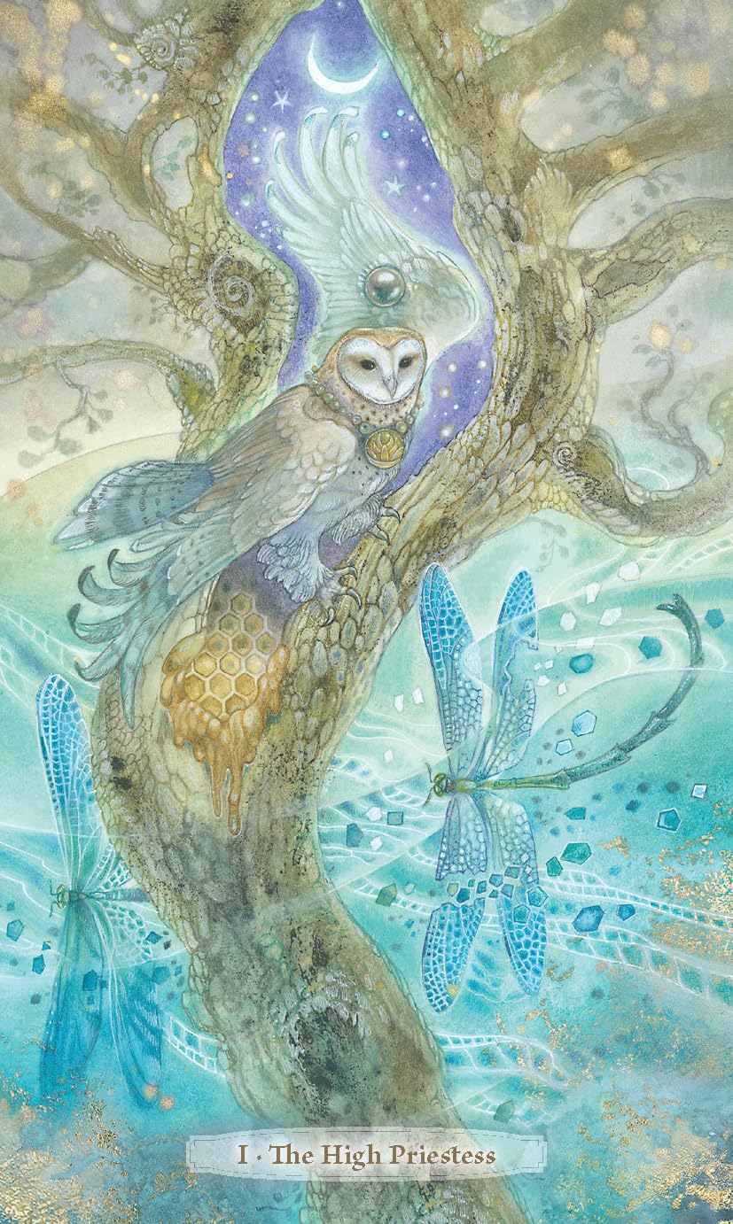 Verdance Tarot: 78 Cards and 336-Page Color Guidebook