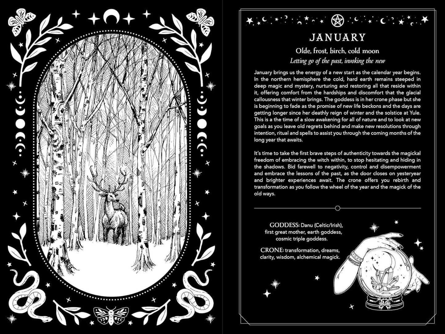 2026 Witch's Diary - Northern Hemisphere: Seasonal planner to reclaiming the magick of the old ways (Planners)