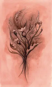 Witch Sister Tarot - Oneness emporium