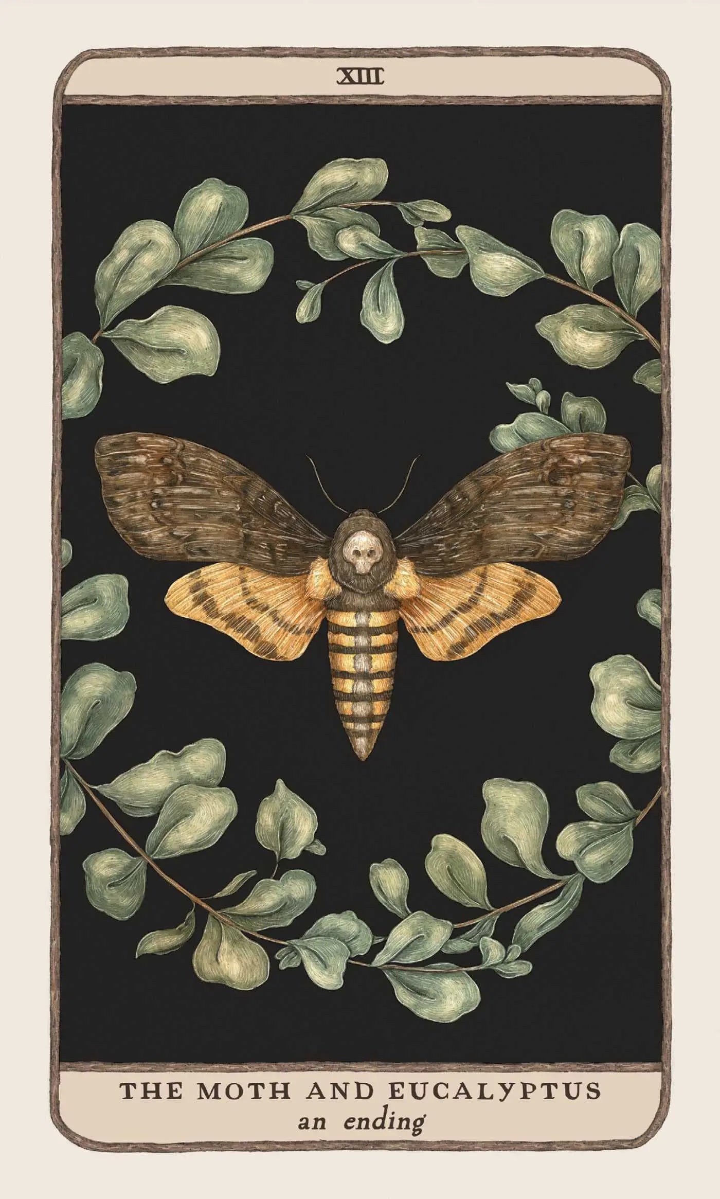The moth is surrounded by a wreath of Eucalyptus. The card symbolises the completion. It shows the ending of an event, relationship or even a project