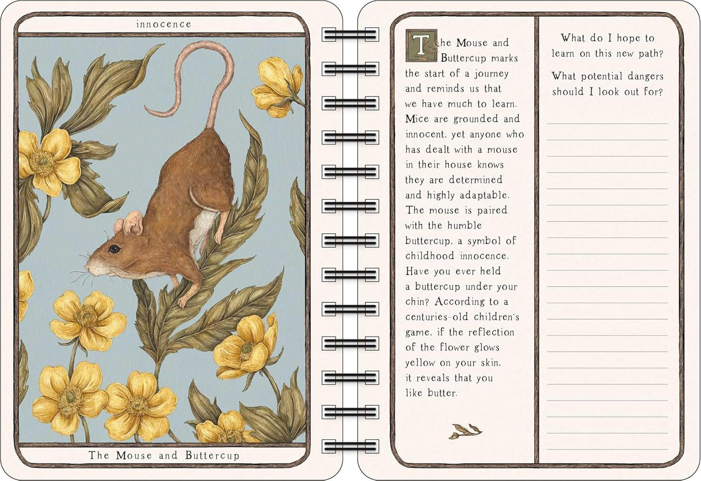 Woodland Wardens 2026 Weekly Planner Journal
