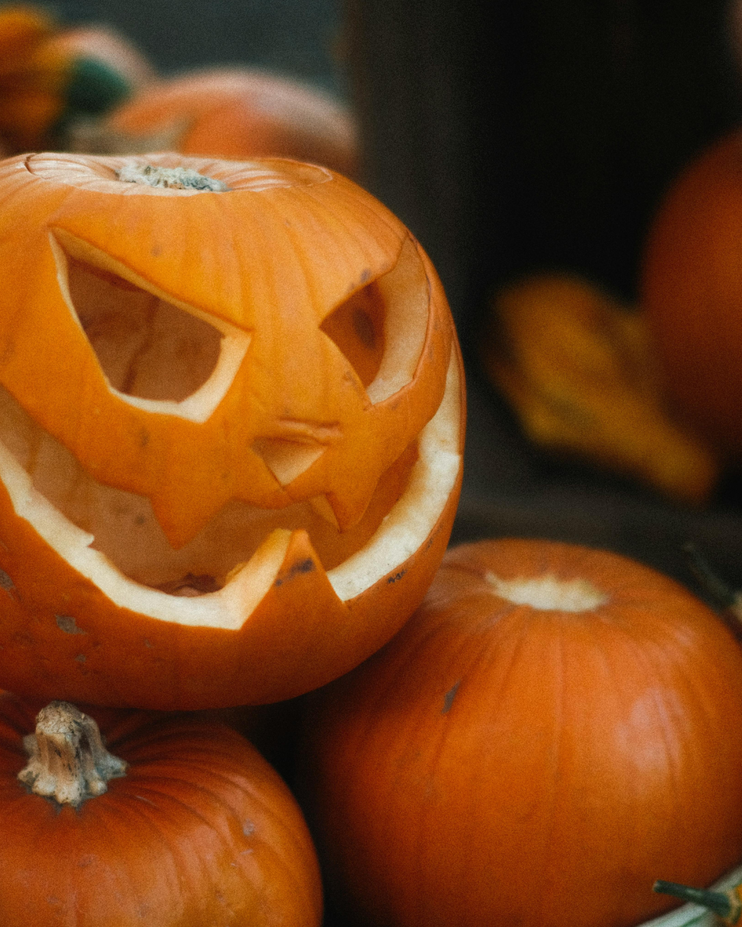 Pumpkin Patch Halloween Delights