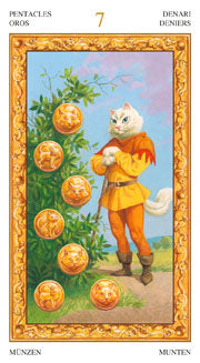 TAROT OF WHITE CATS