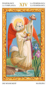 TAROT OF WHITE CATS