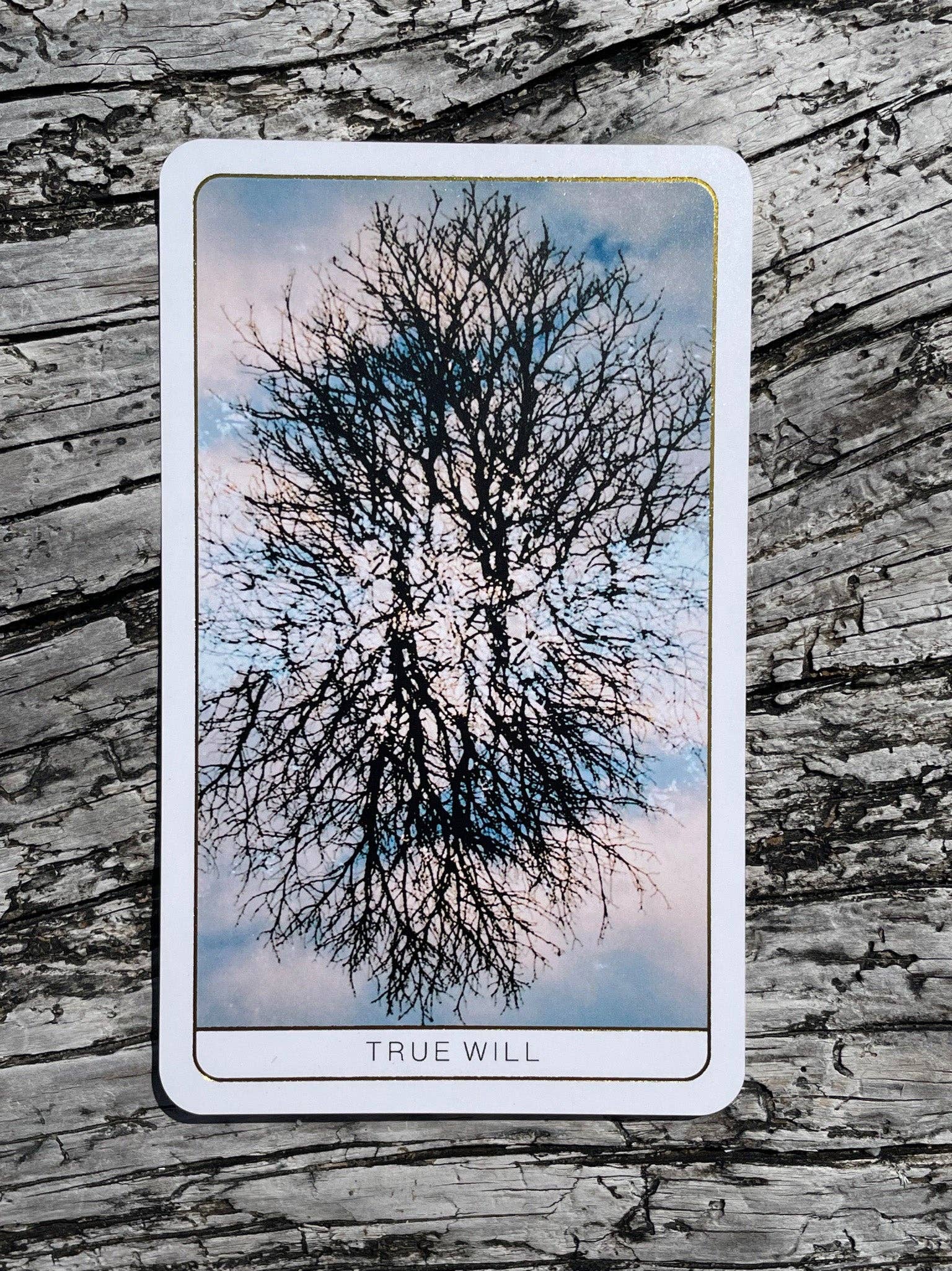 Death Doula Oracle Cards featuring original analogue 35mm photography with double exposure imagery, gold gilded edges and a guidebook for spiritual transformation and healing.