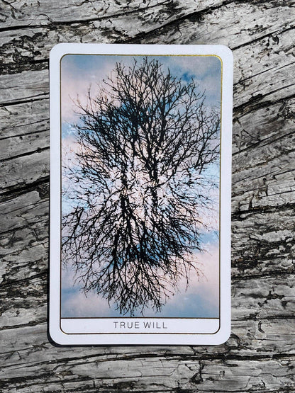 Death Doula Oracle Cards featuring original analogue 35mm photography with double exposure imagery, gold gilded edges and a guidebook for spiritual transformation and healing.