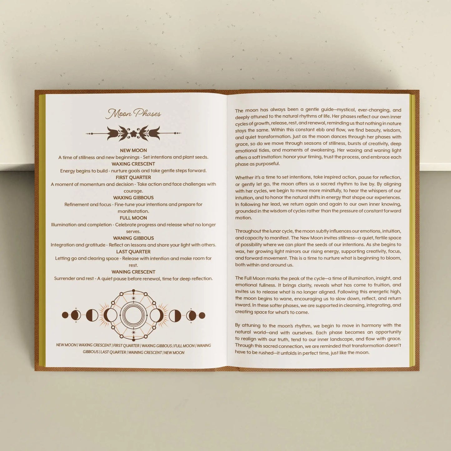 Educational poster about moon phases on a beige wall. Grimoire Bouchette and Co Oneness Emporium