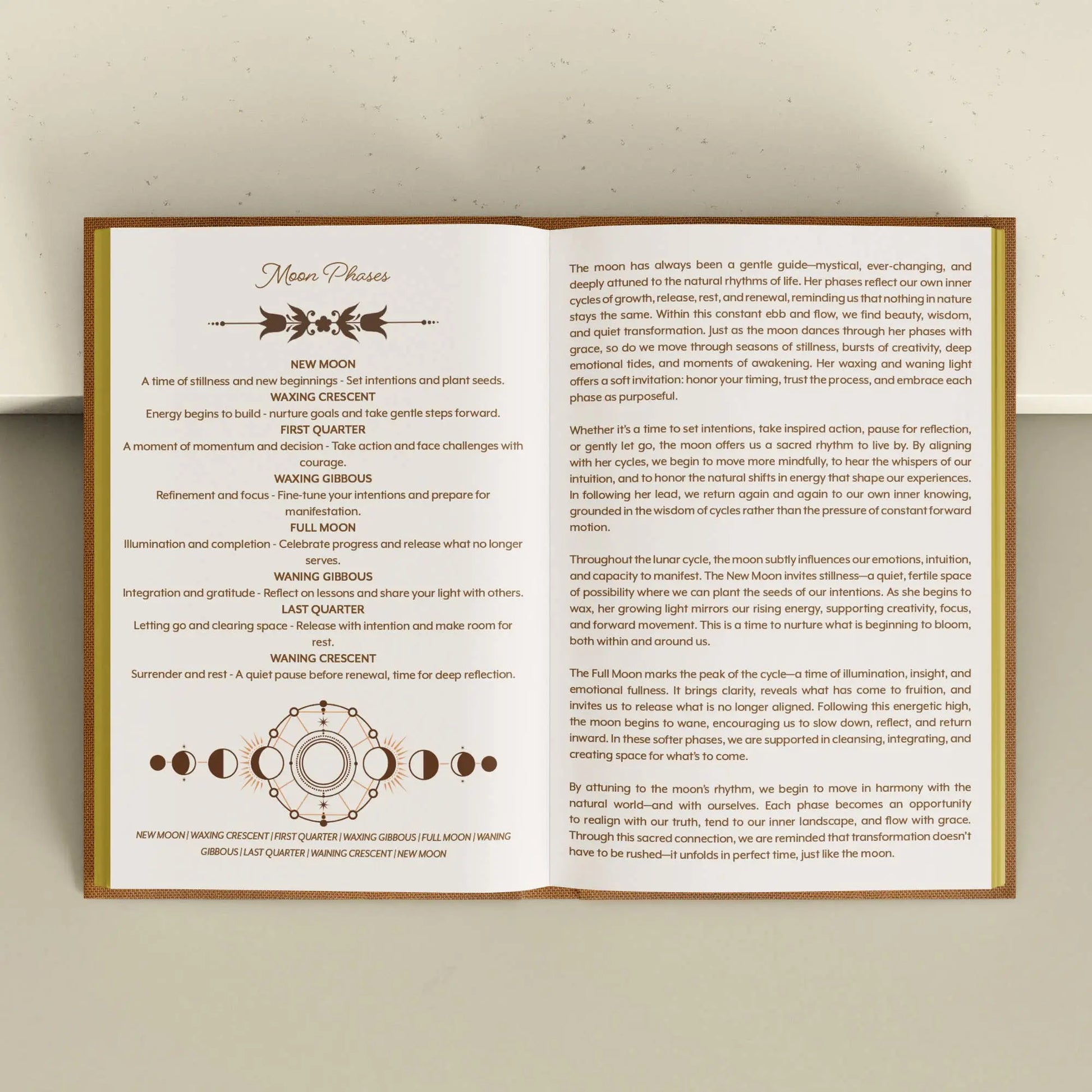 Educational poster about moon phases on a beige wall. Grimoire Bouchette and Co Oneness Emporium