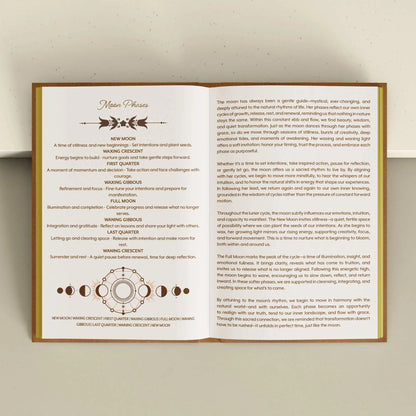 Educational poster about moon phases on a beige wall. Grimoire Bouchette and Co Oneness Emporium