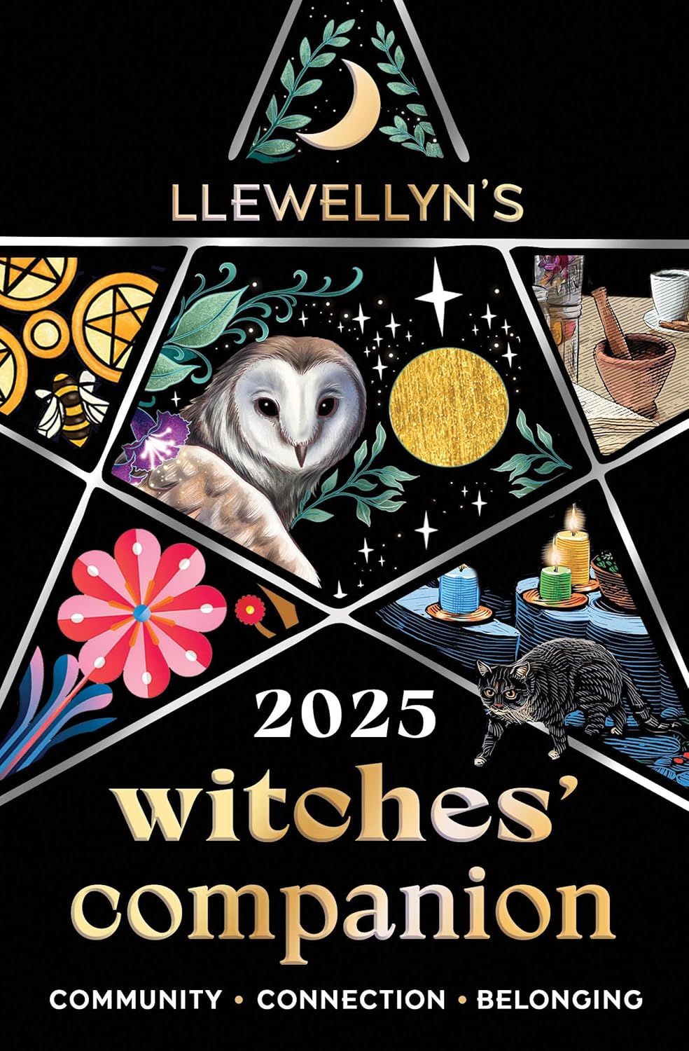 Llewellyn's 2025 Witches' Companion: Community Connection Belonging (Llewellyn's 2025 Calendars, Almanacs & Datebooks)