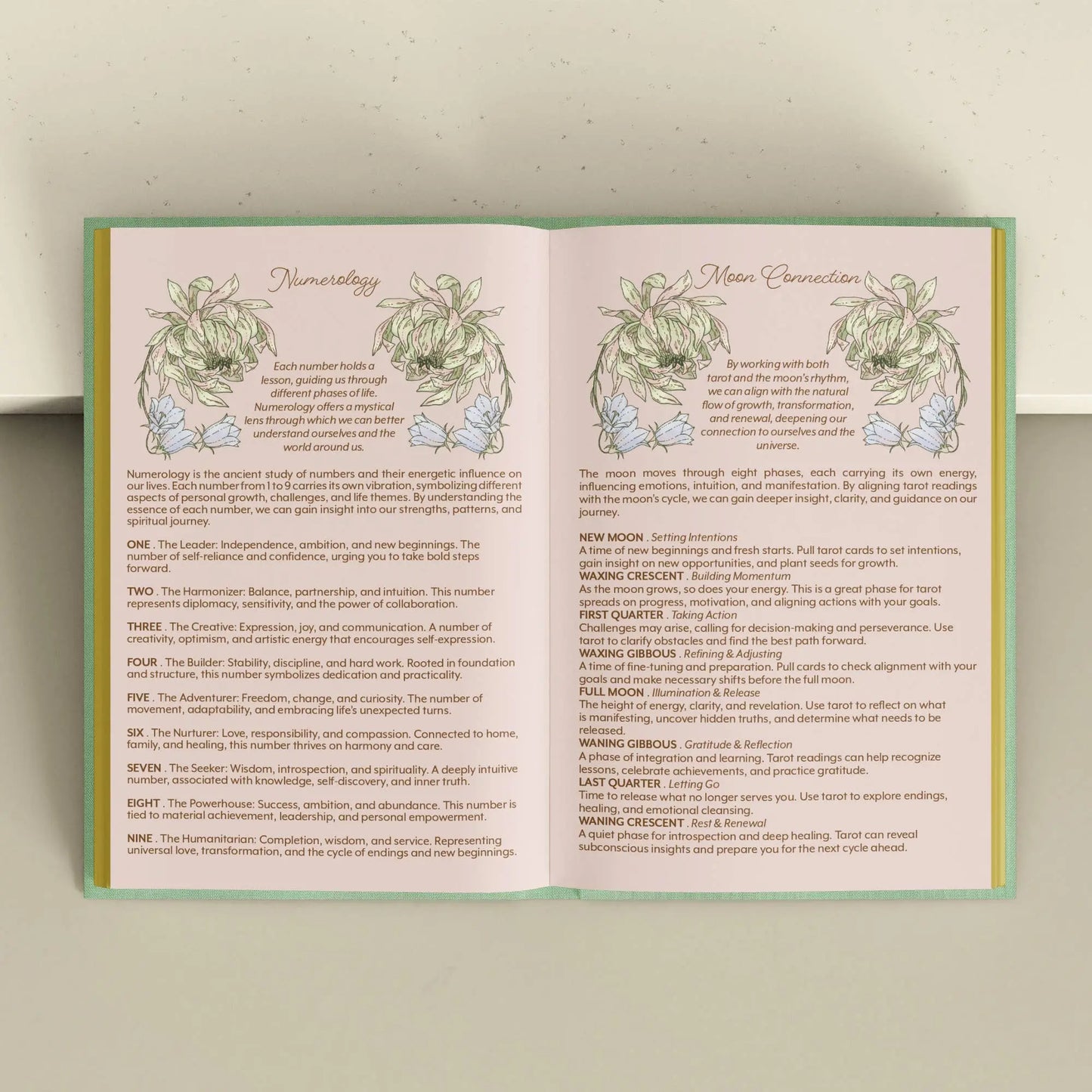 Open book with astrological or numerological text and illustrations on a neutral background Tarot Journal Bouchette and Co Oneness Emporium