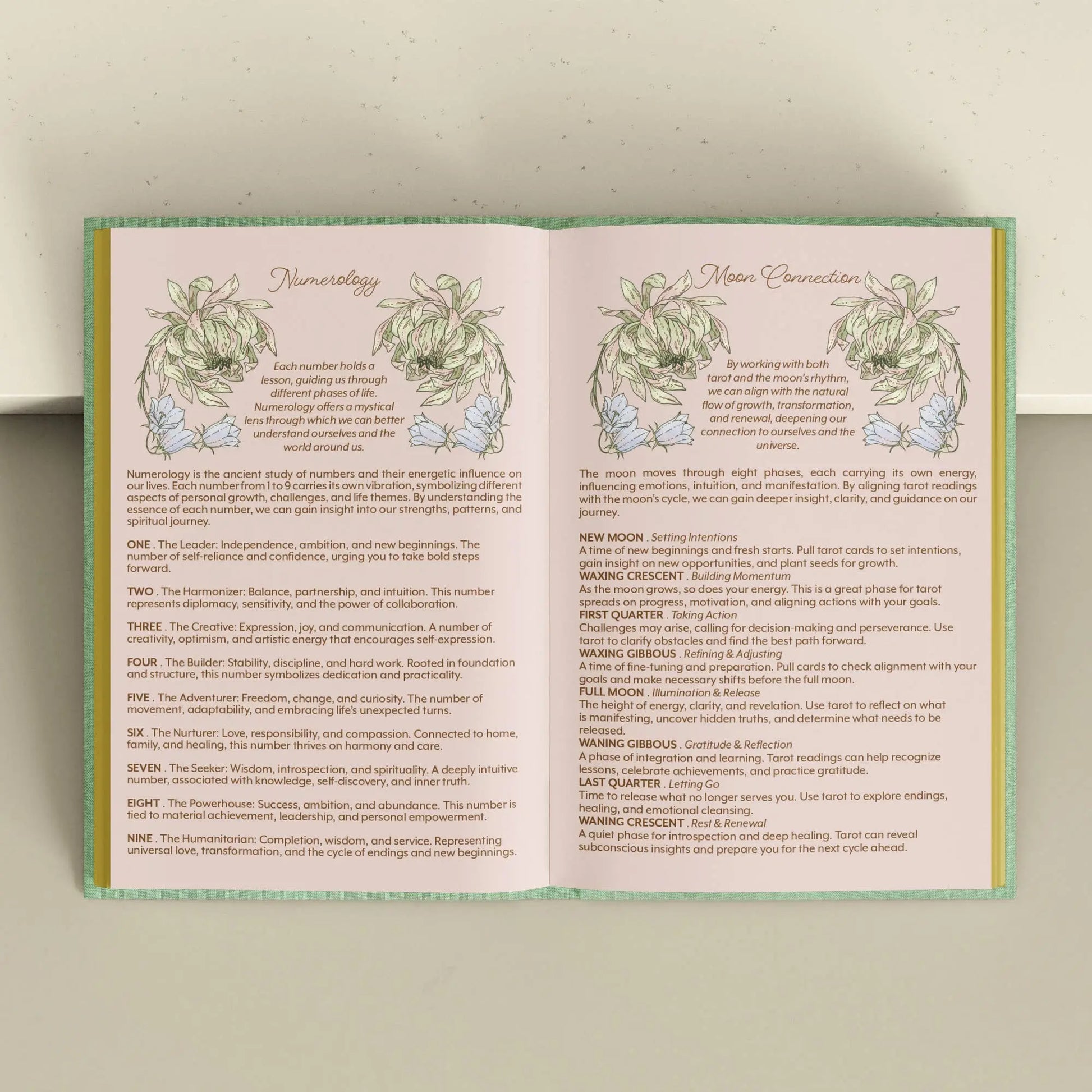 Open book with astrological or numerological text and illustrations on a neutral background Tarot Journal Bouchette and Co Oneness Emporium