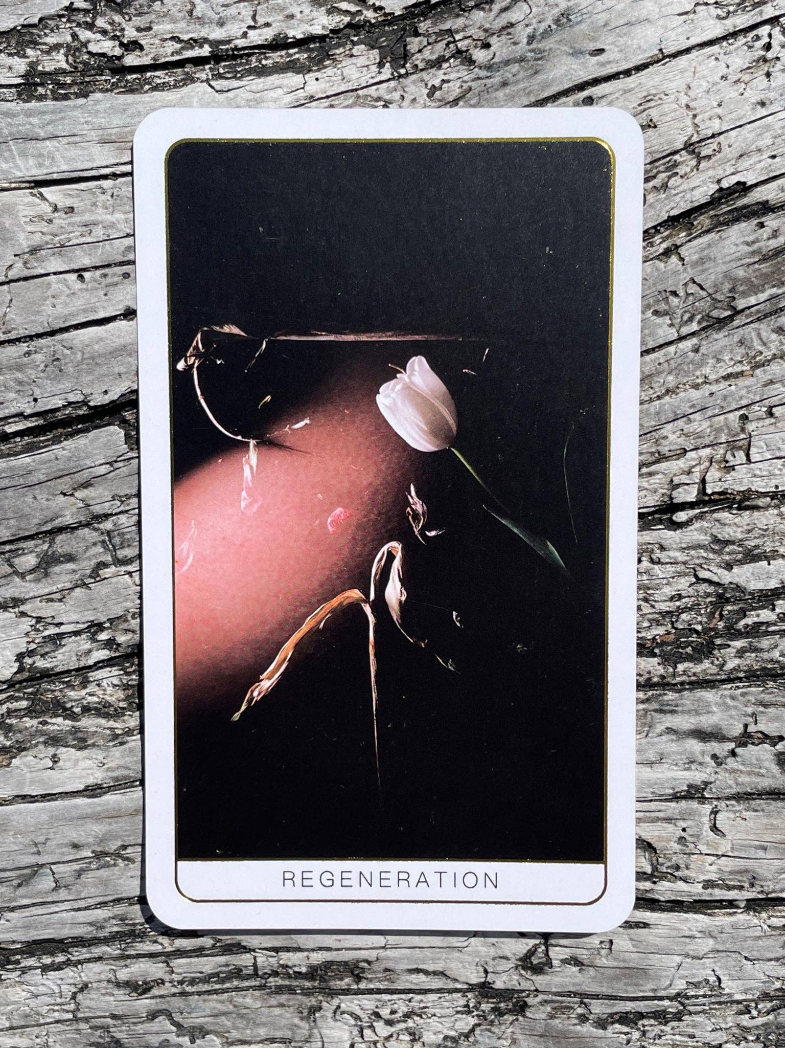 Death Doula Oracle Cards featuring original analogue 35mm photography with double exposure imagery, gold gilded edges and a guidebook for spiritual transformation and healing.