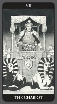 Dark Side of Tarot deck with gothic shadow work artwork and symbolic tarot imagery