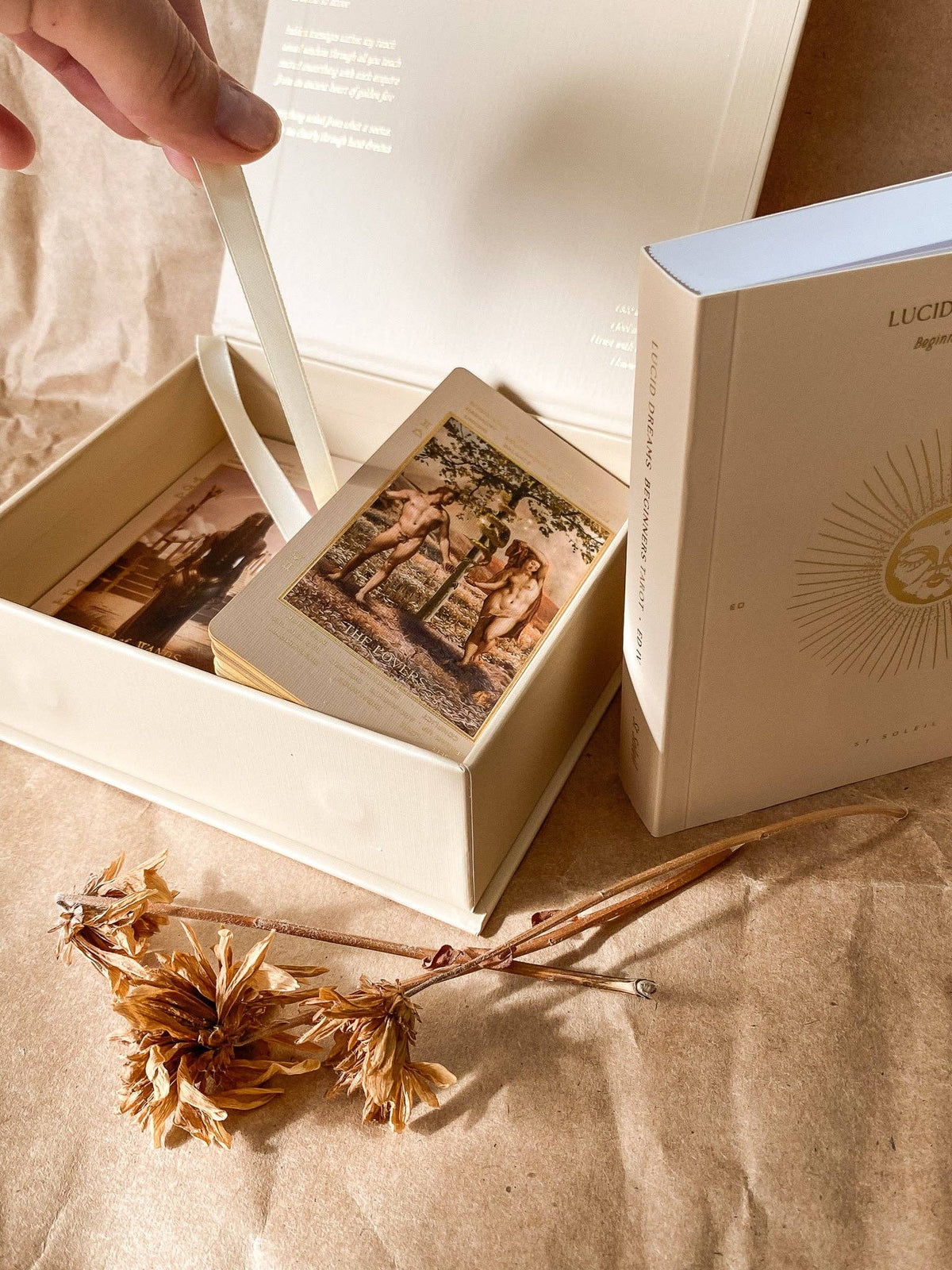 Lucid Dreams Beginner's Tarot Beige Edition IV by ST. SOLEIL with gold foil cards, matte gold edges and guidebook