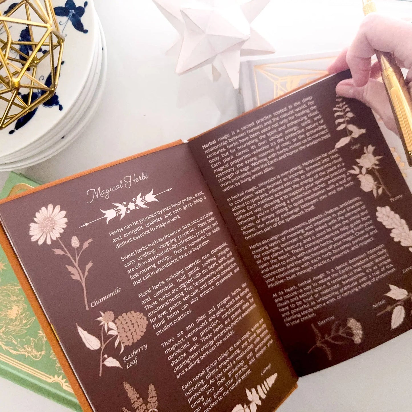 Open book with herbal illustrations and text on a white surface Grimoire Bouchette and Co Oneness Emporium