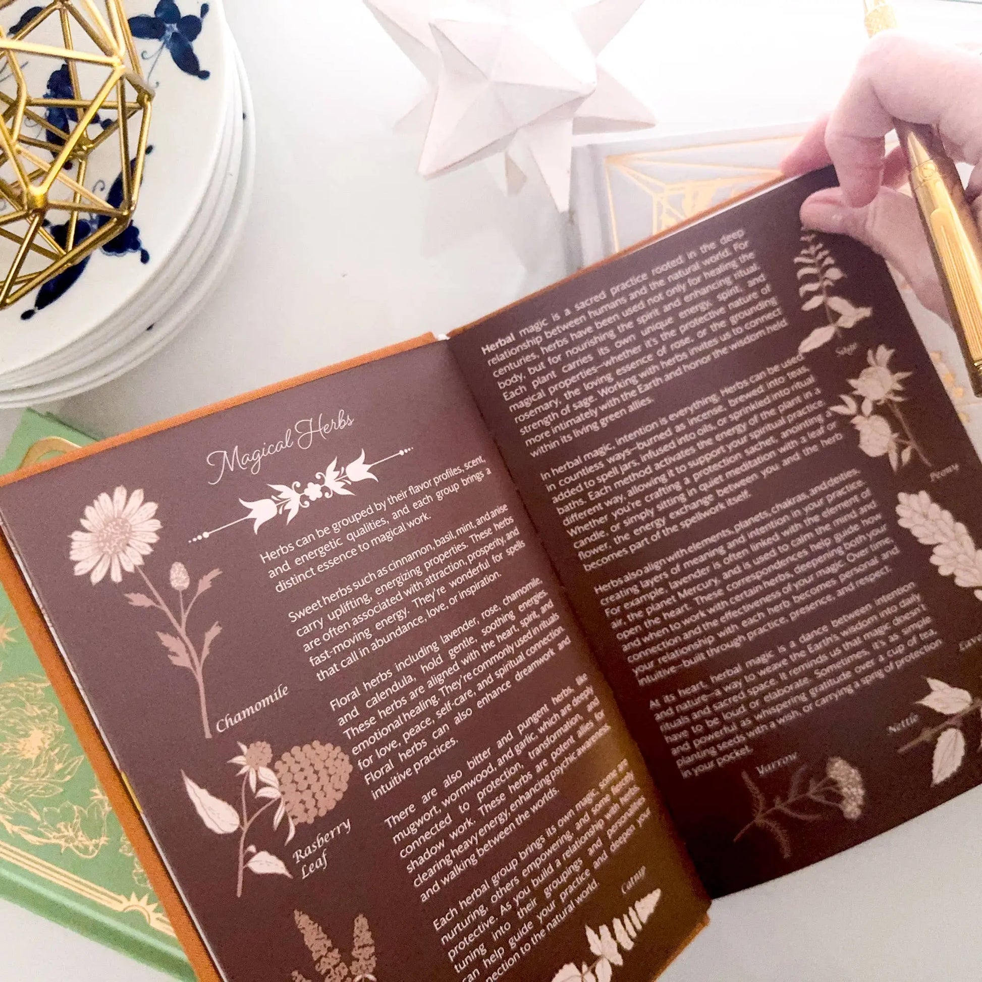 Open book with herbal illustrations and text on a white surface Grimoire Bouchette and Co Oneness Emporium