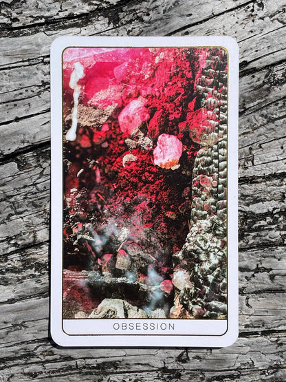 Death Doula Oracle Cards featuring original analogue 35mm photography with double exposure imagery, gold gilded edges and a guidebook for spiritual transformation and healing.