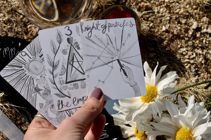 A hand holds three illustrated tarot-style cards outdoors on a gravel surface, with white daisies and part of a glass bowl visible around them. The cards show black line art and text including 'Knight of Pentacles' and 'The Emp'. DIVINA Tarot Deck by Mary Elizabeth Evans featuring elegant monochrome pen and ink artwork with celestial symbolism and a 78-card indie tarot deck.