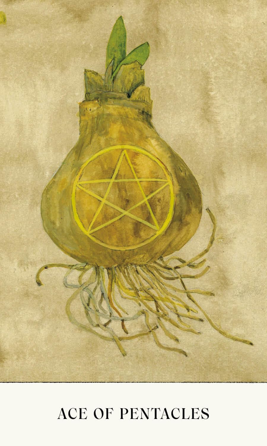 Card featuring a pentacle symbol with roots on a textured beige background, labeled 'Ace of Pentacles'. Soul Tarot by Lindsay Mack and Chelsea Granger featuring contemporary artwork and a 78-card tarot deck created for healing, self-discovery, and intuitive practice.