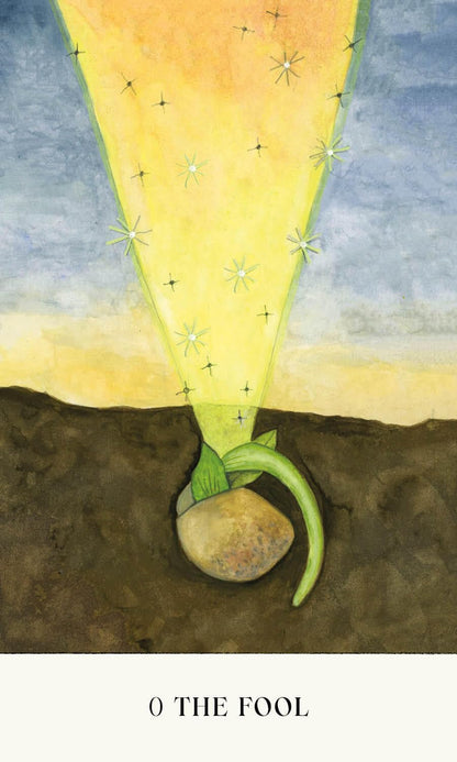 Illustration of a sprouting seedling with a bright light shining on it, labeled 'O The Fool'. Soul Tarot by Lindsay Mack and Chelsea Granger featuring contemporary artwork and a 78-card tarot deck created for healing, self-discovery, and intuitive practice.