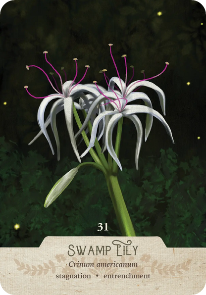 The Southern Botanic Oracle – Expanded 2025 Edition