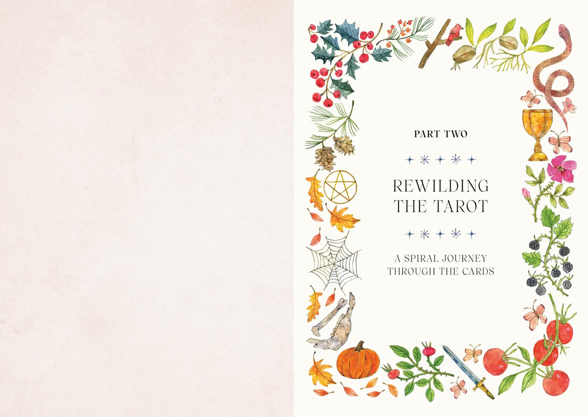 Tarot for the Wild Soul by Lindsay Mack