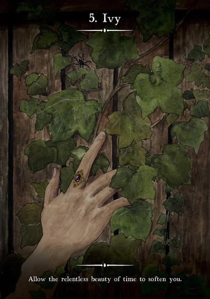 A dark, moody illustration of a hand reaching through green ivy vines on a weathered wooden surface, with the text '5. Ivy' at the top and 'Allow the relentless beauty of time to soften you.
Witch's Homestead Oracle by Hadas Knox and Giada Rose featuring enchanting cottagecore artwork inspired by Victorian homesteads, folk magic, and nature.